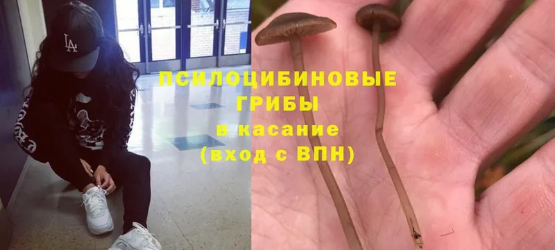 Галлюциногенные грибы MAGIC MUSHROOMS  Уржум 